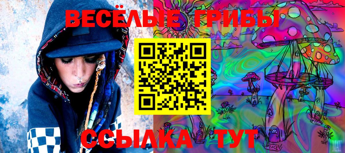 где купить наркоту  Вход с VPN  Знаменск  Галлюциногенные грибы Magic Shrooms 