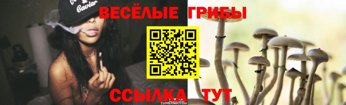 Галлюциногенные грибы прущие грибы Знаменск